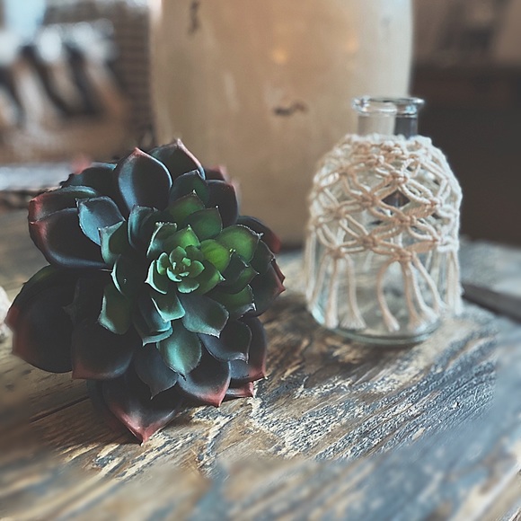 Faux Echeveria Succulent MacramΓ© Glass Bottle HPπ΅ - Picture 4 of 12